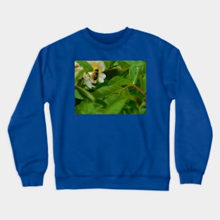 The Pollinator Crewneck Sweatshirt